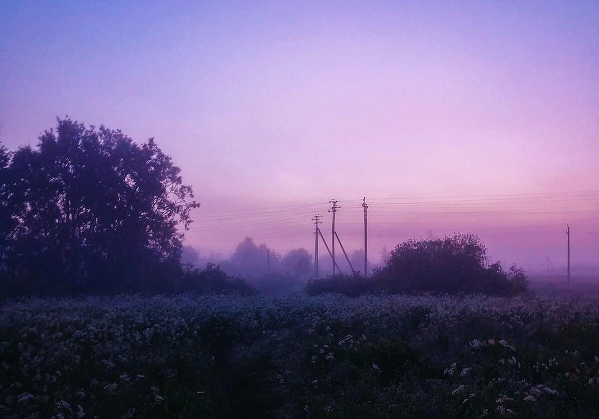 香港教育局插班小学申请指南 流程、条件与入学攻略