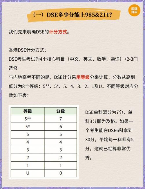 上海DSE学校升学率解析：名校录取与数据揭秘