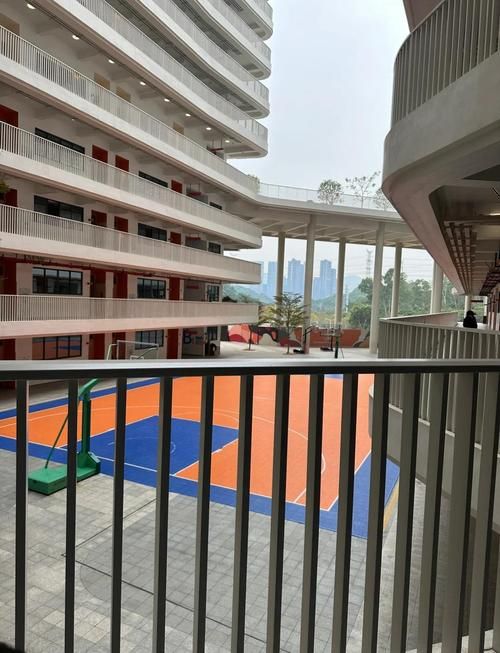 培侨DSE升学率怎么样？真实数据大揭秘