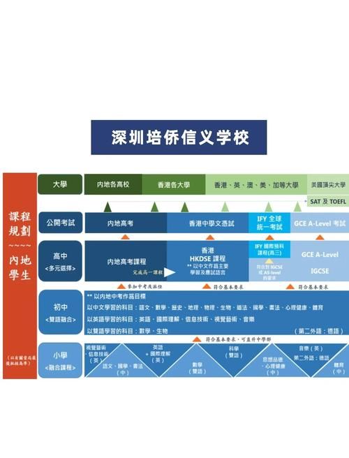 内地学生DSE升学指南：热门方向与择校策略