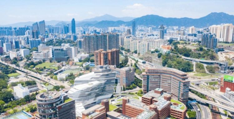 DSE国际升学全攻略:香港文凭试如何敲开全球名校大门