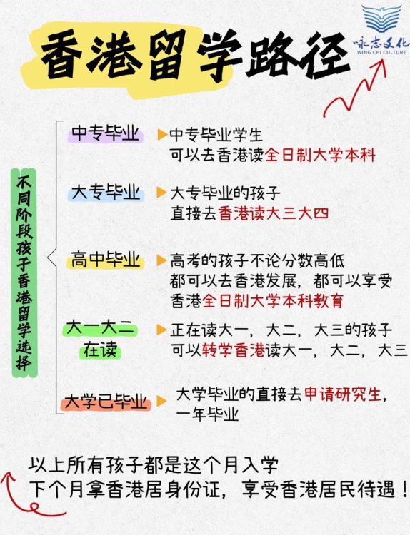 香港DSE升学方向解析:本地、内地及海外路径全攻略
