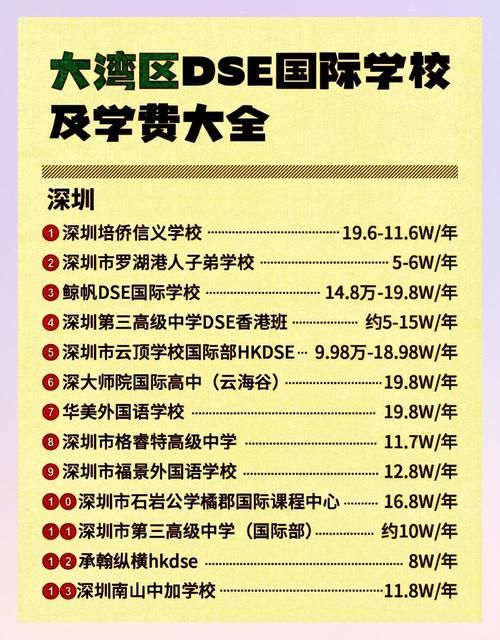 深圳第三高级中学DSE班升学率如何?真实数据揭秘