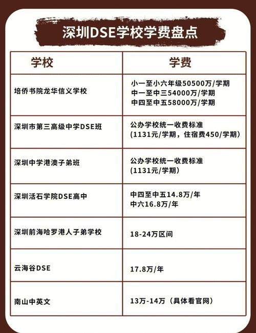 深圳南山外国语学校DSE升学率解析:名校学子升学前景如何?