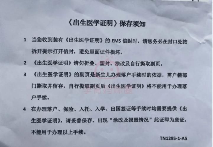 香港K1幼儿园插班申请:9月入学指南与流程解析