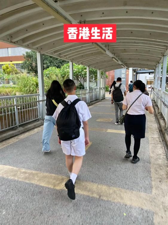 香港中学插班:内地学生入学遇阻真相