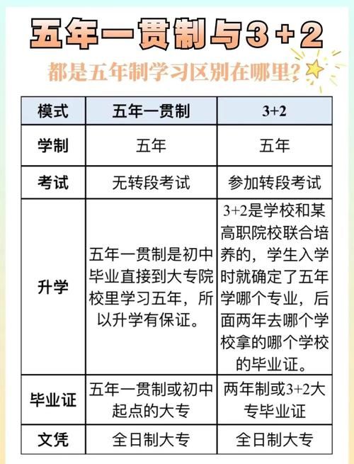 香港小学插班生入学指南:家长必读的准备清单