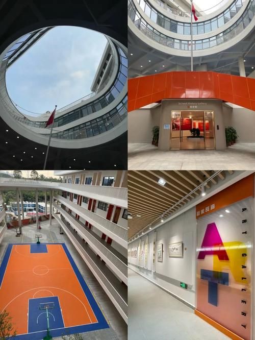 深圳有香港插班生培训机构吗？专业机构推荐