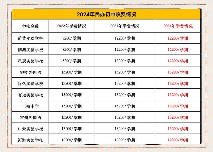 国内DSE学校费用解析:学费、开销与性价比全览