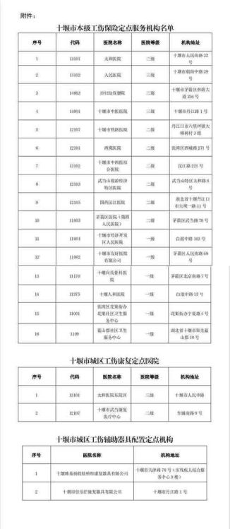 深圳DSE摘星计划联系电话查询，快速获取官方报名方式