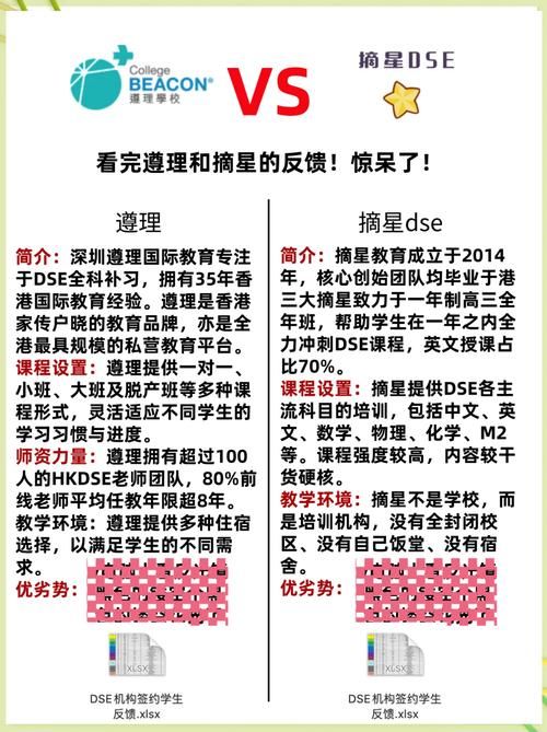 摘星DSE教育评价:权威解析与备考策略