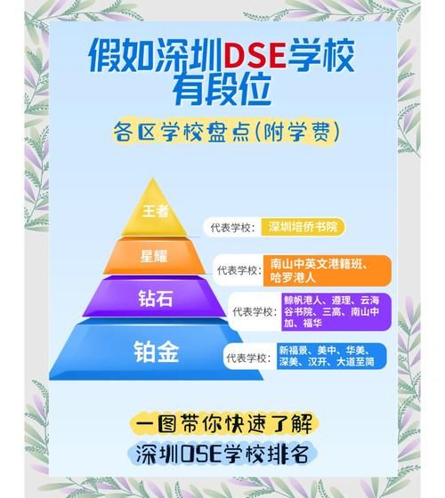 深圳香港DSE课程学校有哪些?择校指南与优质推荐