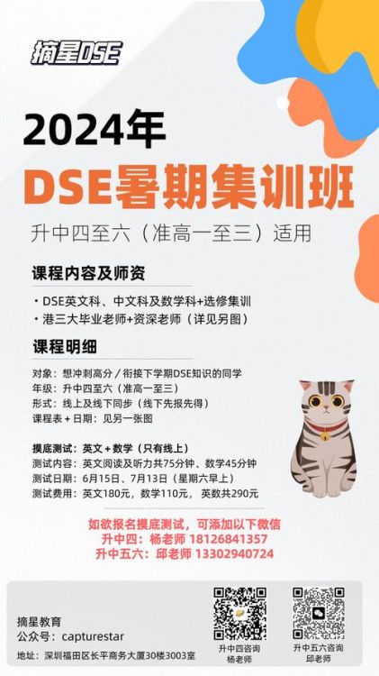 深圳DSE培训学费几万?揭秘课程费用与性价比选择