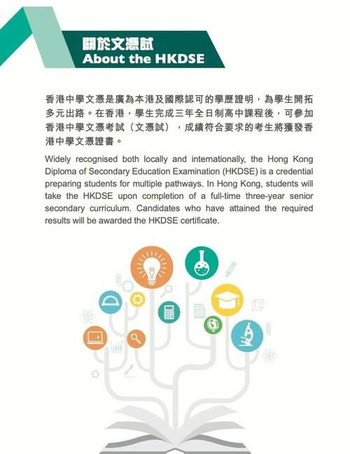 香港DSE课程大纲全解析:备考策略与科目选择指南