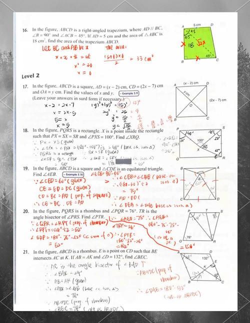 DSE考题全解析:备考策略与历年真题精讲