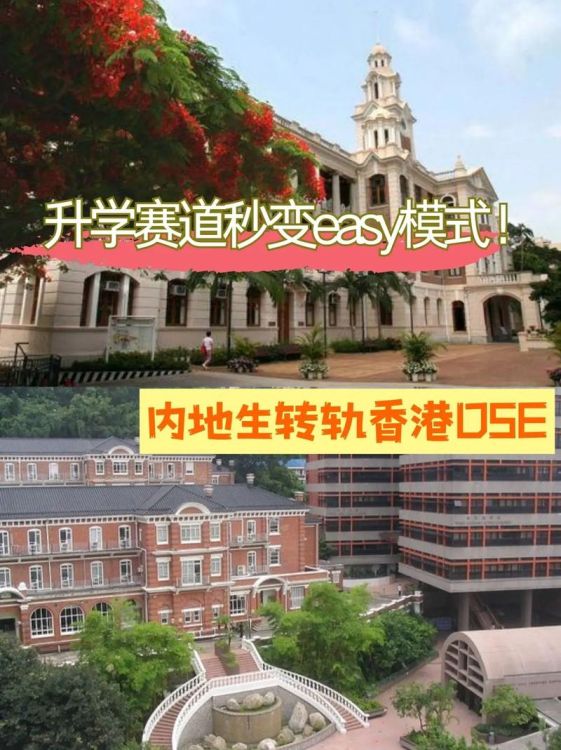 香港DSE培训机构全攻略：高效备考冲刺理想院校