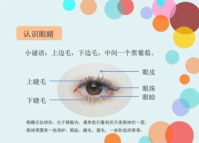 香港幼儿中班插班生数量多少合适?家长必读指南