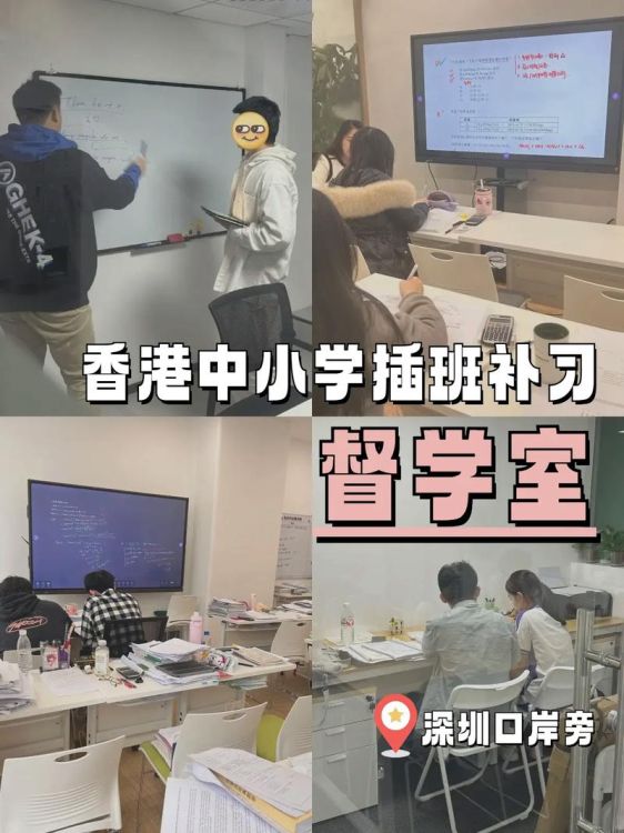 香港小学插班面试辅导：专项提升入学成功率