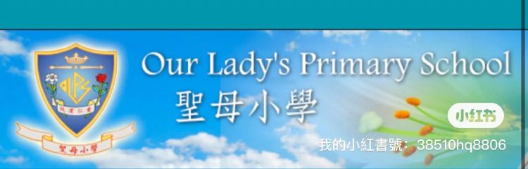 香港小学插班网上申请指南:步骤详解与注意事项