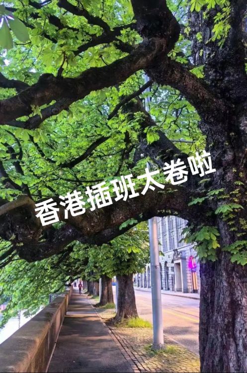 香港插班遇阻:不懂粤语成关键障碍