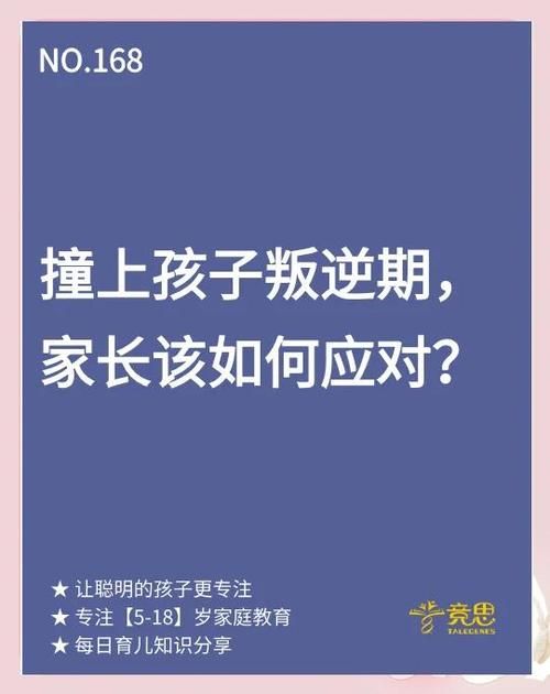 香港小学插班全拒?家长必看应对指南