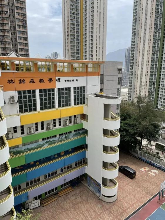 内地港宝插班香港小学,掌握这一技巧快速适应新环境