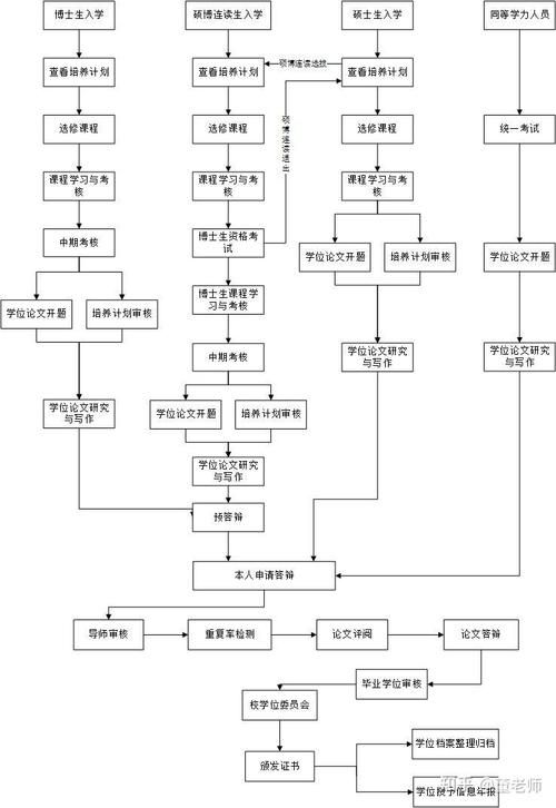 香港幼儿中班插班入学指南:申请流程与注意事项