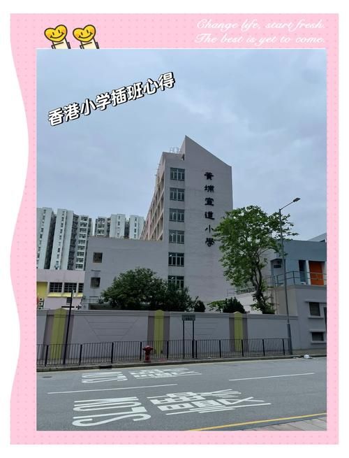 内地幼童插班香港K3:择校入学全指南
