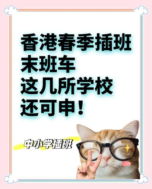 港籍内地小孩能在香港插班吗 最新政策与入学指南