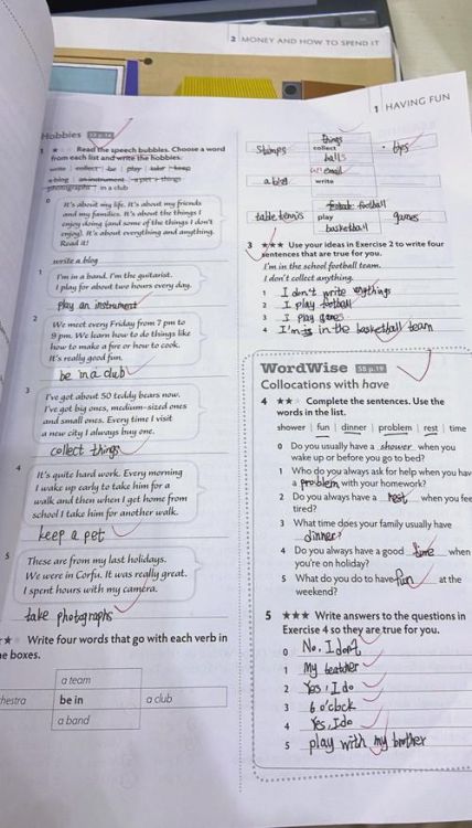 香港小学五年级英语试卷解析与备考指南