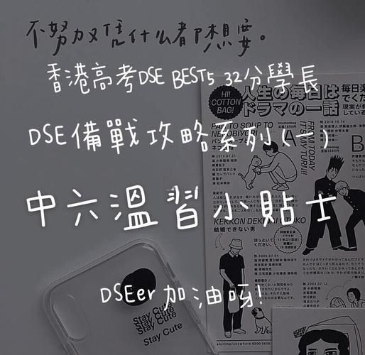DSE资料全套:高效备考,轻松拿高分!