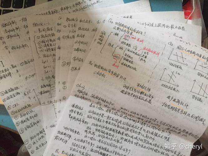 香港小学一年级试卷解析:备考要点与真题示例