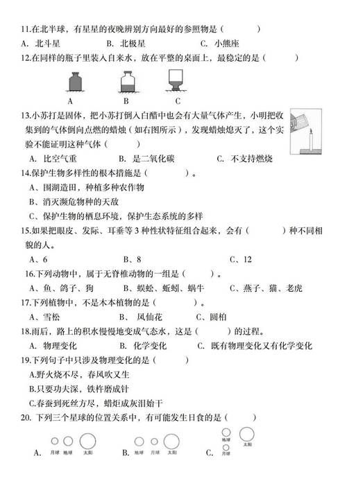 香港中学六年级科学试卷解析与备考指南