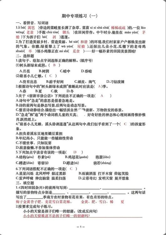 香港小学四年级语文试卷解析:备考要点与题型分析