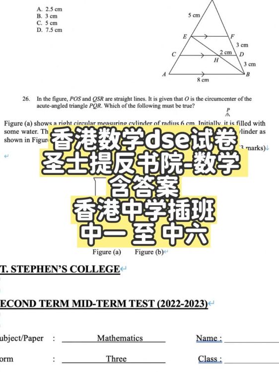 DSE试卷资料大全:历年真题及答案解析免费下载