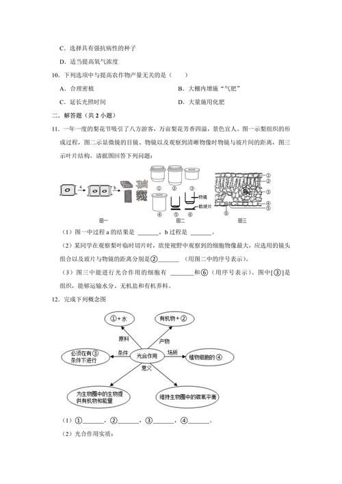 香港中学三年级科学试卷解析与备考指南