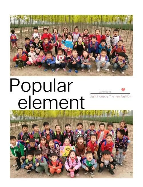 香港幼儿中班插班生数量统计与趋势分析