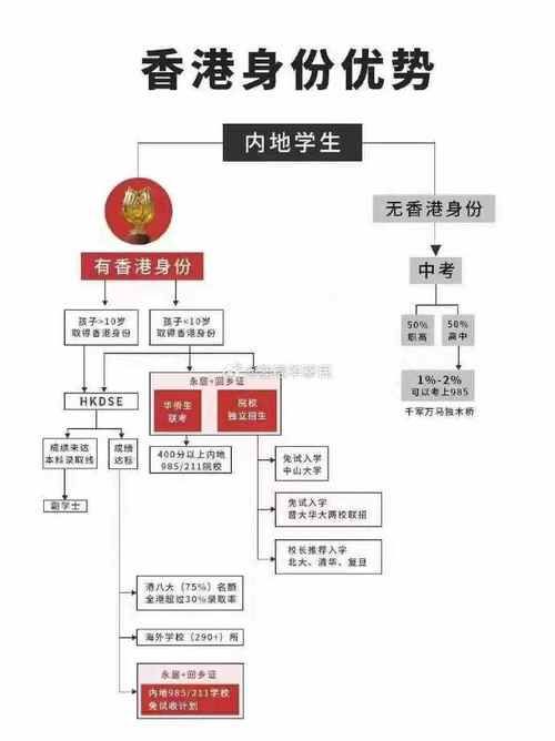 香港非永居插班指南 入学条件与申请流程详解